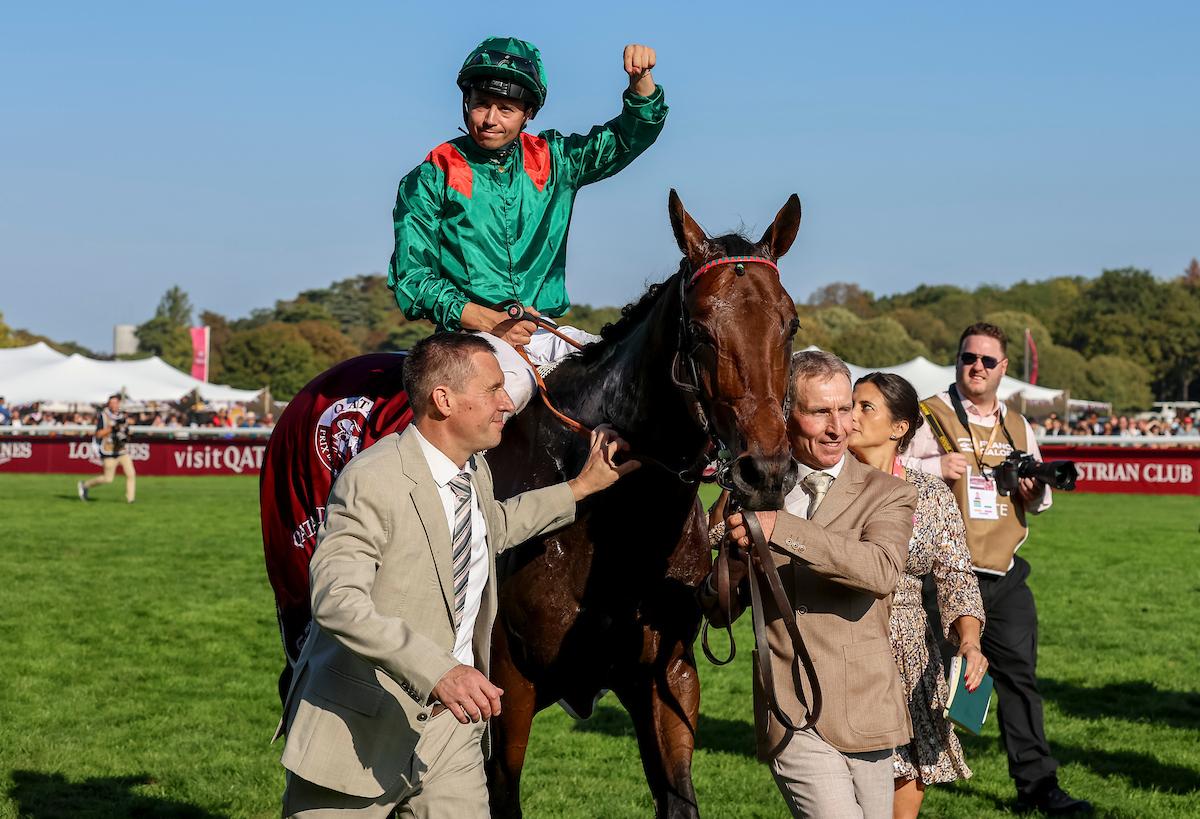 Daryz, Prix de l’Arc de Triomphe, Longchamp, horse racing, America's Best Racing, ABR